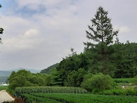 봉평 5분,막다른 길끝 숨..