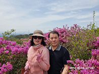 산청 대명사 & 의령 한우산..