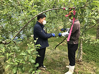 고제면, 농번기 ..