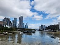 수영강 온천천 꽃길(260..