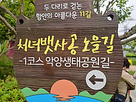 악양생태공원 꽃양귀비, ..