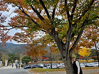 경주 단풍여행 - 통일전