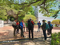 백양산 편백 숲길(25051..