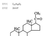 스테로이드들끼리..