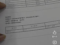 발22비타민k=칼슘..