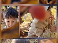 11월9일 가을빛은..