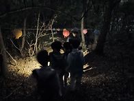 7월. 야간곤충탐사