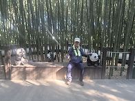 해파랑7길 & 경주..