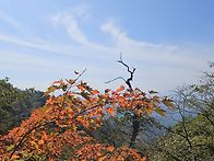 오!설악 (곡백운&수렴동)