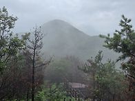 해파랑길 20코스: 경북동해..