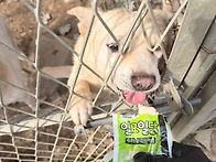 2025.10.25. 봉사오신 분..