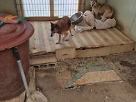 2025.11.08 봉사오신 분들