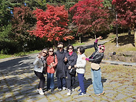 멋지재(2025단풍놀이)