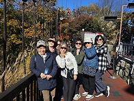 어때보여(2025단풍놀이)