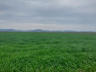 나주 동강면 영농..