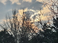 수월 일월저수지에서