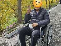 돌산 승월마을 봄 벚꽃 나..