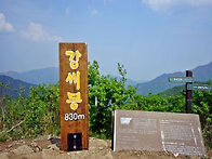 제139차 가평 강씨봉(83..