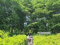 광성산우회 2026년5월16..