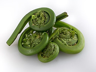 Fiddleheads