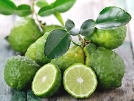 bergamot orange ll