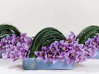 Orchid Love