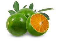 Calamansi