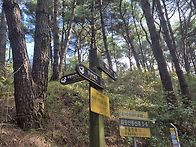 화왕산 억새 최고..