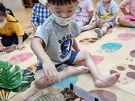 애니멀ㅡ동물친구들