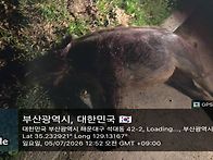 해운대