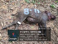 해운대
