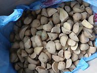 씨감자 (수미 종자) 판매 ..