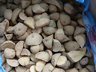 씨감자 (수미) 판매 합니다