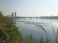 옥수동 한강변 저자도의 ..