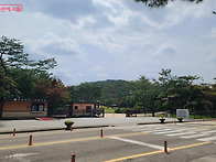 왕의 숲길, '의릉' 개방
