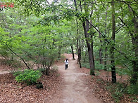 초안산 수국동산~노원우이..