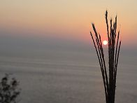 어 청 도 (3)