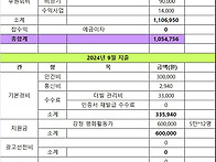 2024년 9월 회계보고 입니다