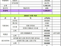 2024년 12월 회계보고 입니다.