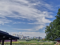 뒤늦은 공주...이..