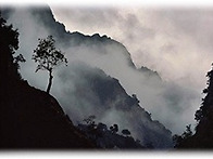 서울 대공원 / 雲..
