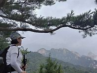 08.22(토) 진달래..