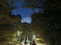 수요도보..남산 ..