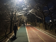 4월 4일 금요도보..