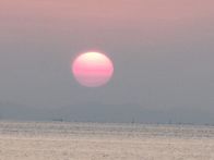 궁평유원지에서의..