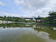 5월21일(수)1세대..