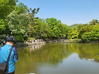 4월30일 창경궁...
