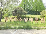 5월6일(화)장자호..