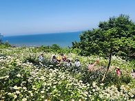 5월30일(토)순백의..