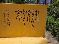 8월11일(월) 청운..